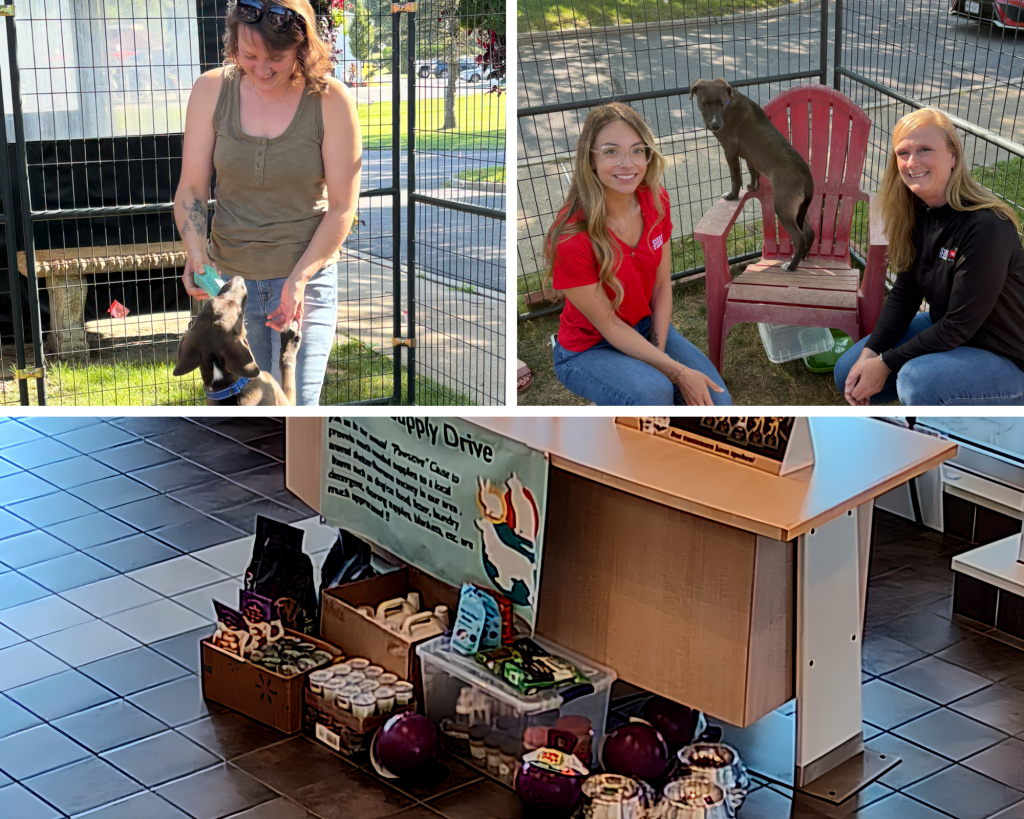 Steet Toyota of Johnstown Employees visiting Fulton County SPCA for Pet Supplies Drive Donations