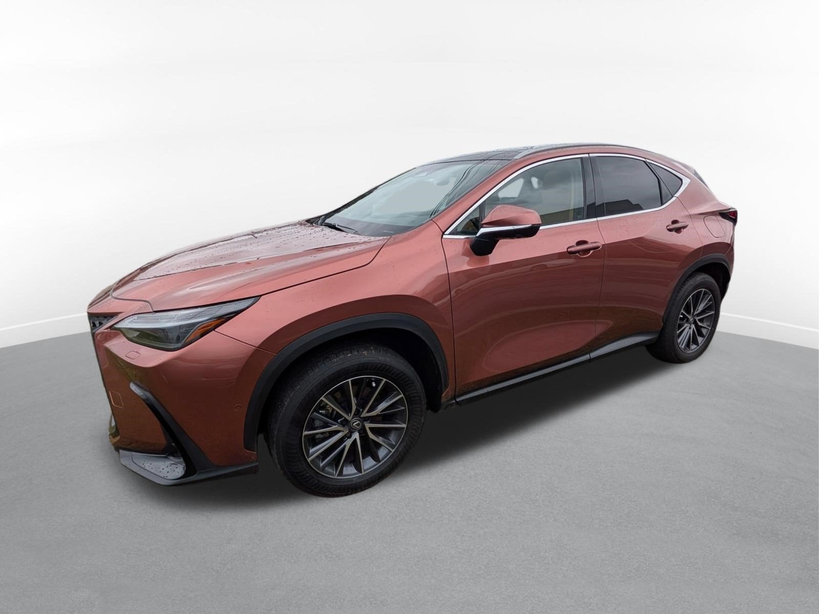 2025 Lexus NX 350h Luxury