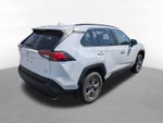 2023 Toyota RAV4 XLE w/ Convenience & Cold Weather Pkg