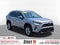 2019 Toyota RAV4 XLE w/ Convenience & Cold Weather Pkg