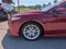 2019 Toyota Camry XLE w/ Driver Assist & Nav Pkg