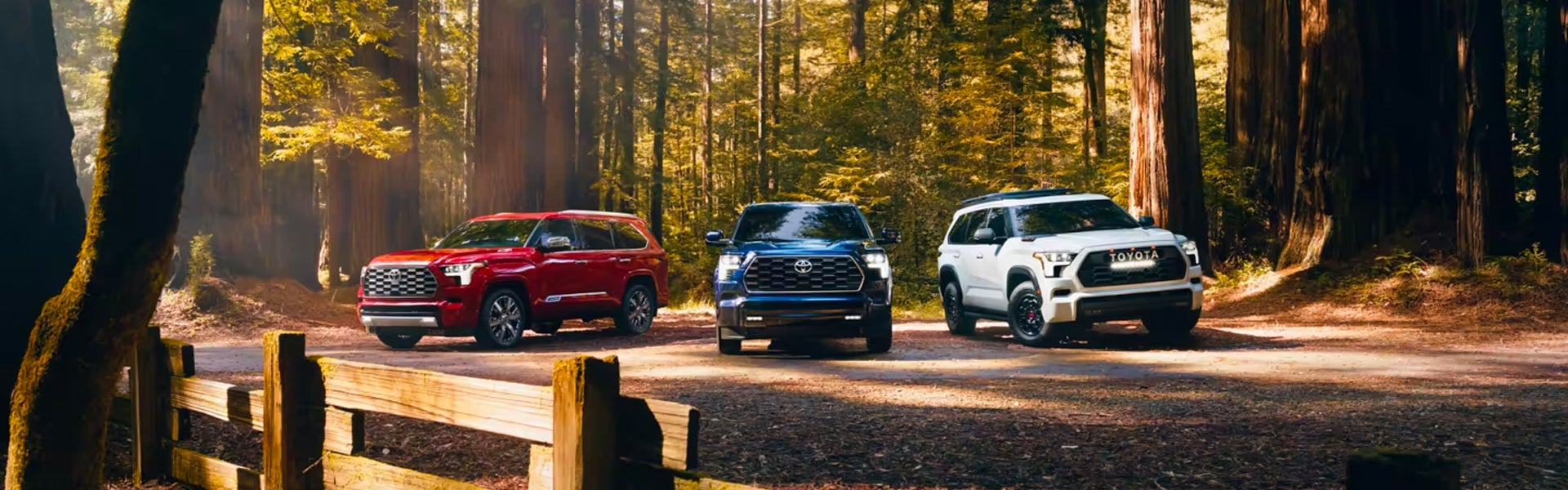 Three Toyota Sequoias